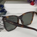 Best Replica Celine Sunglasses Top Quality CES00289 Tl5401bj75