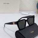 Celine Sunglasses Top Quality CES00055 Tl5635Sy67