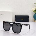 Celine Sunglasses Top Quality CES00073 Tl5617bW68