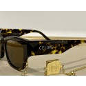 Celine Sunglasses Top Quality CES00087 Tl5603Nw52