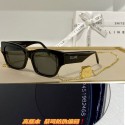 Celine Sunglasses Top Quality CES00094 Tl5596xa43