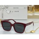 Celine Sunglasses Top Quality CES00097 Tl5593Mc61