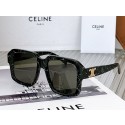 Celine Sunglasses Top Quality CES00099 Tl5591Va47