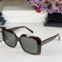 Celine Sunglasses Top Quality CES00246 Sunglasses Tl5444Rc99