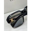 Celine Sunglasses Top Quality CES00279 Tl5411HW50