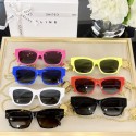 Celine Sunglasses Top Quality CES00305 Sunglasses Tl5385dV68