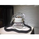 Chloe Roy Mini Smooth Leather Bucket Bag S396 White Tl17945fr81