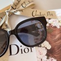 Copy 1:1 Dior Sunglasses Top Quality DIS00889 Sunglasses Tl11593xD64