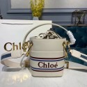 Designer Chloe Roy Mini Smooth Leather Bucket Bag 3S508 White Tl17920vs94