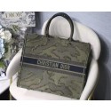 DIOR BOOK TOTE BAG IN EMBROIDERED CANVAS C1286 green Tl9094Rc99