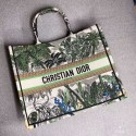 DIOR BOOK TOTE BAG IN EMBROIDERED CANVAS C1286 Green Tl9205Zr53