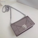 Dior DIORAMA leather Chain bag S0328 Silver grey Tl9221DO87