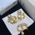 Dior Earrings &Brooch CE8589 Tl9424MO84