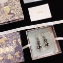 Dior Earrings CE5361 Tl9937dX32