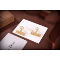 Dior Earrings CE6310 Tl9801Af99