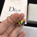 Dior Earrings CE6329 Tl9793iZ66