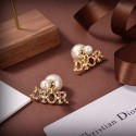 Dior Earrings CE6417 Tl9777TL77