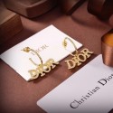 Dior Earrings CE6555 Tl9728vN22