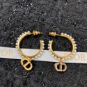 Dior Earrings CE7159 Tl9612yj81