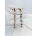 Dior Earrings CE7216 Tl9606Va47