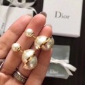 Dior Earrings CE7477 Tl9574Gw67