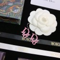 Dior Earrings CE8945 Tl9388Rk60