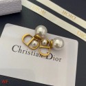 Dior Earrings CE8954 Tl9387Lo54