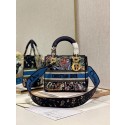 Dior MEDIUM LADY D-LITE BAG Embroidered M0565-20 Tl8217Ym74