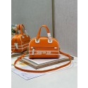 DIOR medium leather tote Bag C9200 orange Tl8365rf73