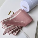 Dior Scarf DIC00014 Tl11237TL77