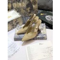 Dior Shoes Dior751DJC-4 9.5CM height Tl10676kC27