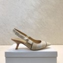 Dior Shoes DIS00025 Heel 6.5CM Tl10253ER88