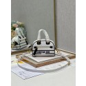 DIOR small Embossing leather tote Bag C9201 white Tl8354LG44