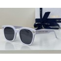 Dior Sunglasses Top Quality DIS00173 Tl12309Fh96