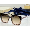 Dior Sunglasses Top Quality DIS00557 Tl11925hc46