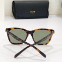 Fake 1:1 Celine Sunglasses Top Quality CES00287 Sunglasses Tl5403YK70