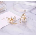 Fake Dior Earrings CE6055 Tl9835tu77