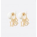 Fake Dior Earrings CE8001 Tl9498xR88