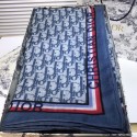 Fake Dior Scarf CD00142 Tl11332Qv16