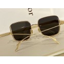 Fake Dior Sunglasses Top Quality DIS00583 Sunglasses Tl11899Hj78