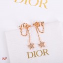 Fashion Dior Earrings CE5155 Tl9970Of26