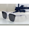 Fashion Dior Sunglasses Top Quality DIS00167 Tl12315OM51