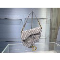 Fashion SADDLE BAG Dior Oblique Embroidered Velvet C0044 gray Tl8875Of26