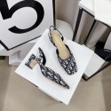 First-class Quality Chrisitan Dior Shoes 81910-3 Heel 5.5CM Shoes Tl10279fm32