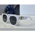 First-class Quality Dior Sunglasses Top Quality DIS00249 Sunglasses Tl12233Sf41