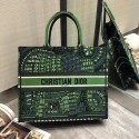 GREEN DIOR BOOK TOTE DIOR ANIMALS EMBROIDERED CANVAS BAG M55E Tl9078Ri95