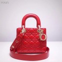 High Imitation Dior lucky badges Original sheepskin Tote Bag A88035 red Tl9232bg96