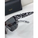 Hot Celine Sunglasses Top Quality CES00325 Sunglasses Tl5365cT87