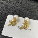 Imitation AAA Dior Earrings CE6891 Tl9663kf15