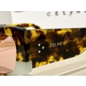 Imitation Celine Sunglasses Top Quality CES00290 Tl5400KV93